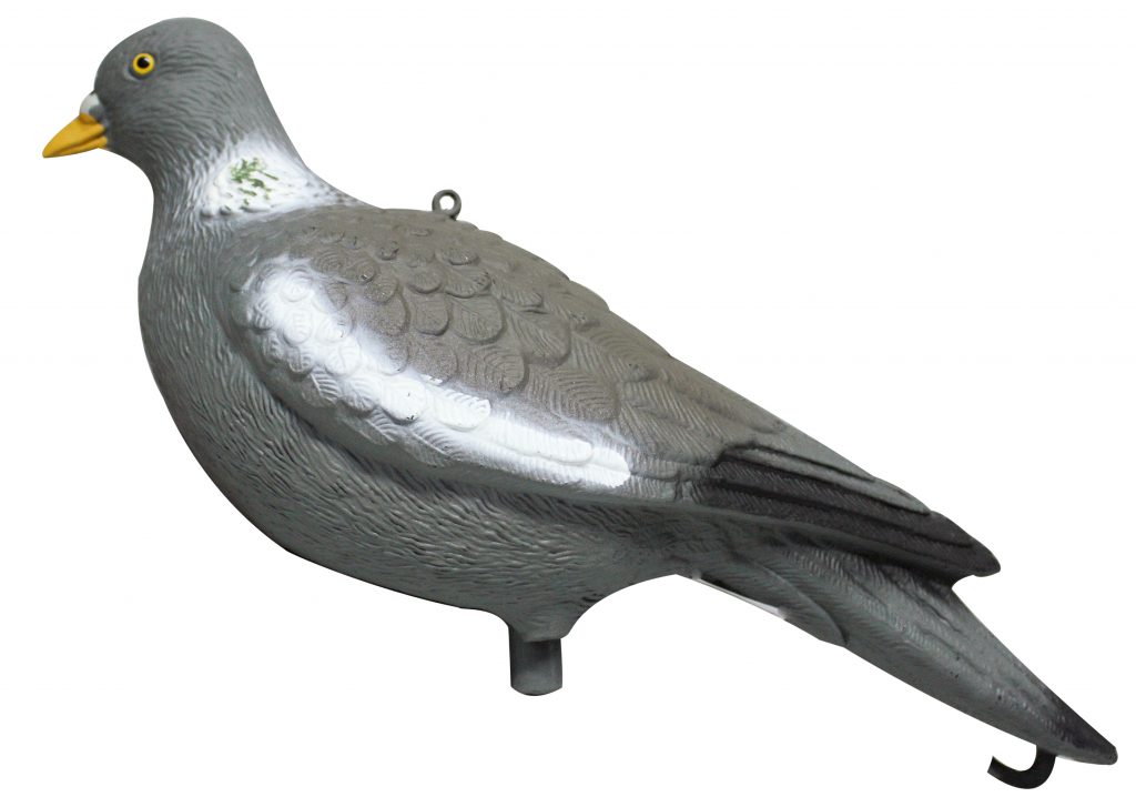 Full bodied pigeons, head up or feeding.